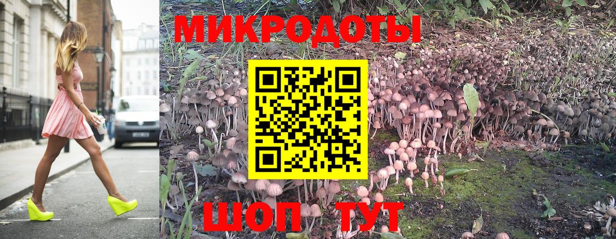 Галлюциногенные грибы MAGIC MUSHROOMS  Вход с VPN  Раменское 