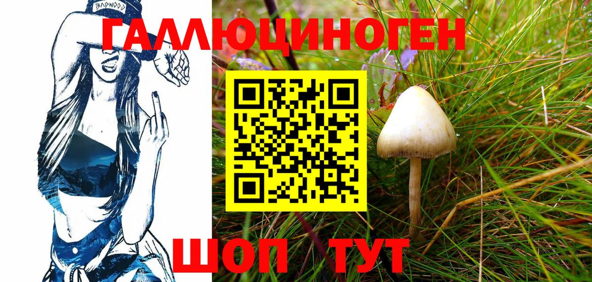Галлюциногенные грибы GOLDEN TEACHER Раменское